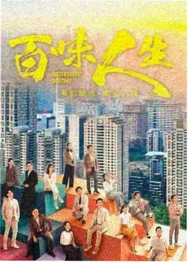 电视剧视频播放 剧集结构分析
